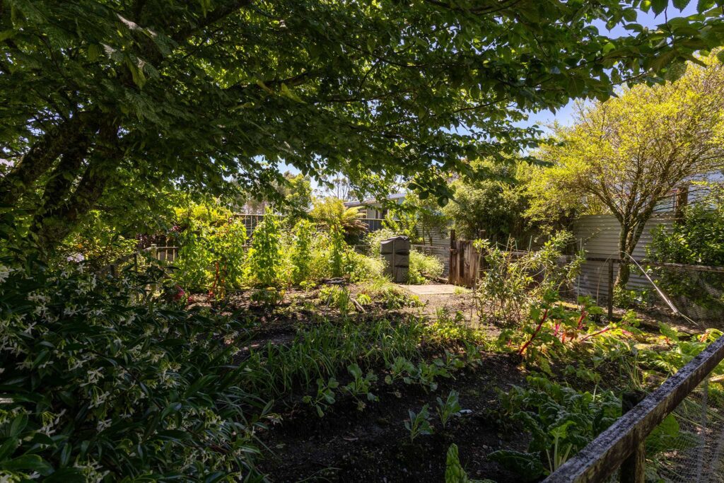 Kaniere house vegetable garden